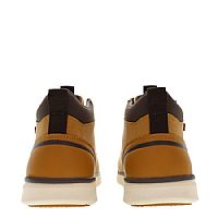 US POLO ASSN