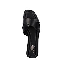 US POLO ASSN
