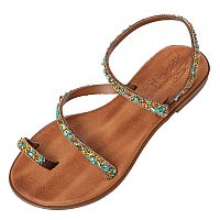 SANTE Day2Day