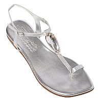 SANTE Day2Day